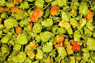 《生化危机4：重制版》体验版上线后 玩家称赞PC版优化棒